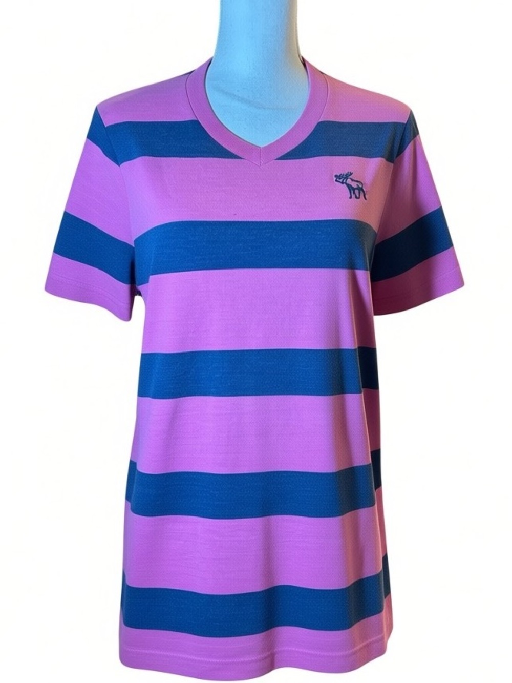 Abercrombie & Fitch Pink and Navy Striped V-Neck Tee